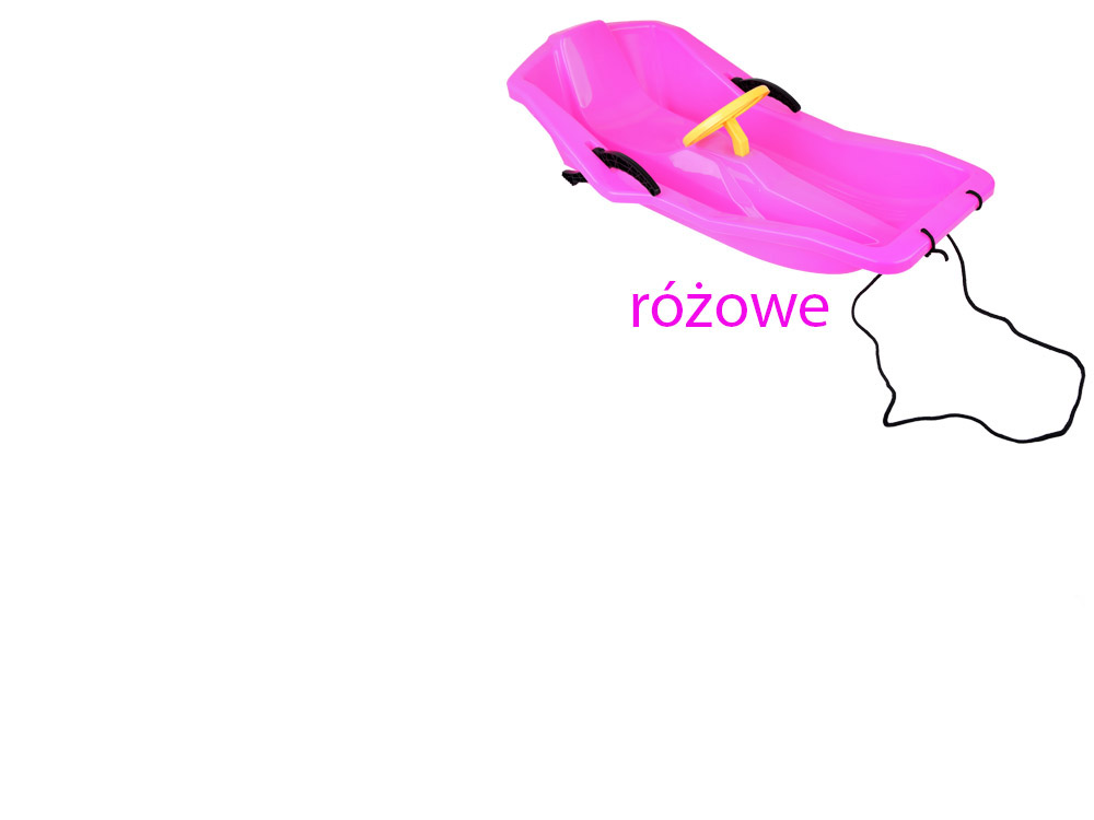 Wygodne Lekkie SANKI dla dzieci z oparciem hamulcem i kierownica SP0807 17