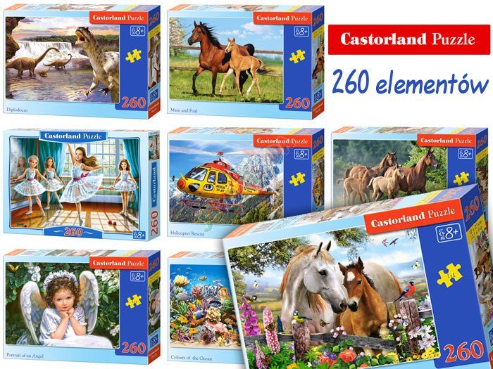 makara melek Genç  Castorland beautiful Puzzles 260 items CA0009 | toys \ puzzles \ puzzles  3-4 years toys for girls toys for boys 5-7 years 8-13 years 14 years + 