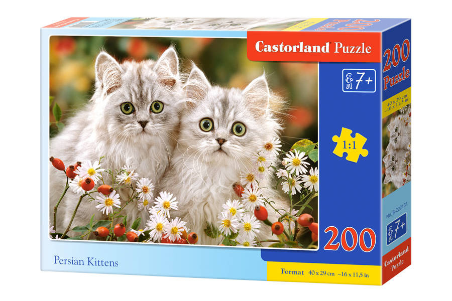 Puzzle 200 pieces Persian Kittens B222131 toys \ puzzles \ puzzles
