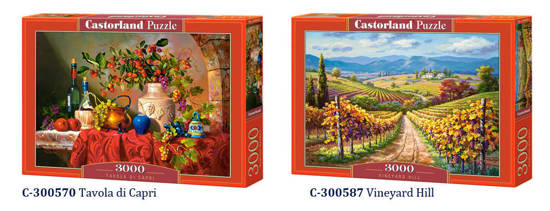  Castorland Puzzle 3000 elements. wonderful paintings CA0020