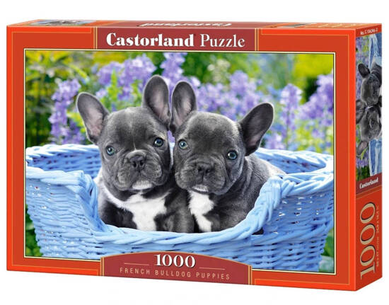 1000-piece puzzle C-104246 French Bulldog Puppies