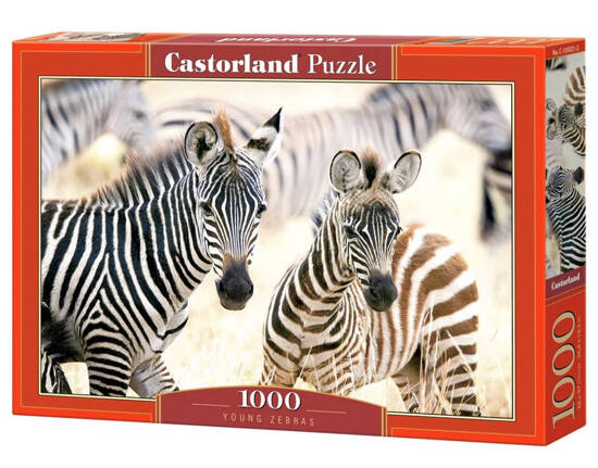 1000-piece puzzle C-105021 Young Zebras