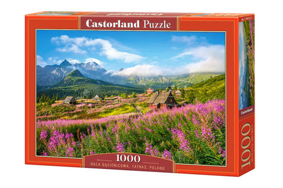 1000 - piece puzzle  Hala Gąsienicowa, Tatras, Poland