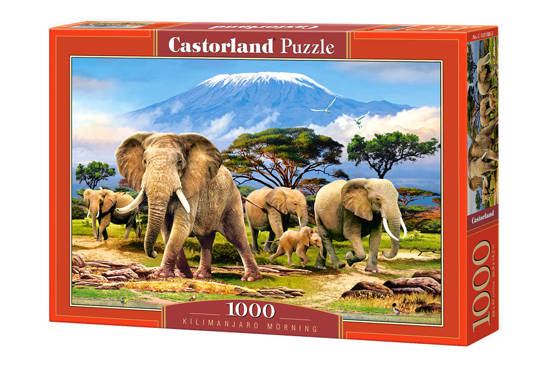 1000 - piece puzzle Kilimanjaro Morning