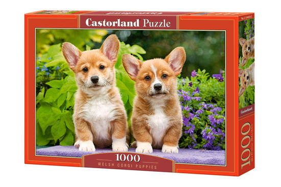 1000 - piece puzzle Welsh Corgi Puppies