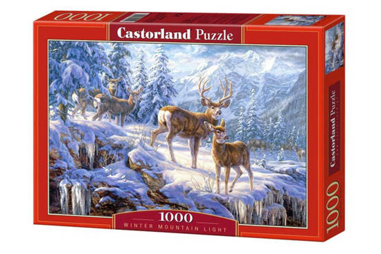 1000 - piece puzzle Winter Mountain Light