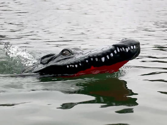 2in1 remote-controlled crocodile boat RC0576