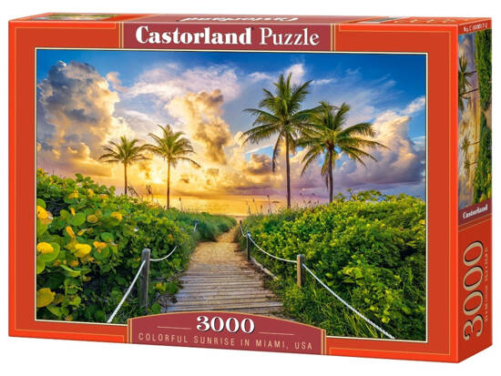 3000-piece Colorful Sunrise in Miami, USA puzzle C-300617