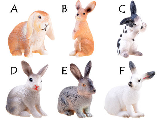 ANIMALS FARM SERIES Rabbit Hare Figurine COLLECTION ZA3383