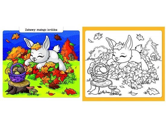 Axiom A little artist colors animals KS0371