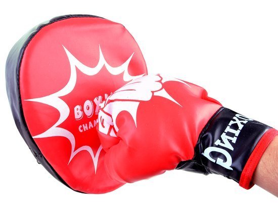 BOXING Boxing set Gloves + boxing shield TRAINING SET SP0638