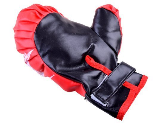 BOXING Boxing set Gloves + boxing shield TRAINING SET SP0638