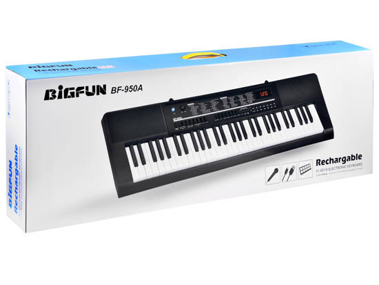 Big Keyboard Organ BF-950A + microphone IN0140