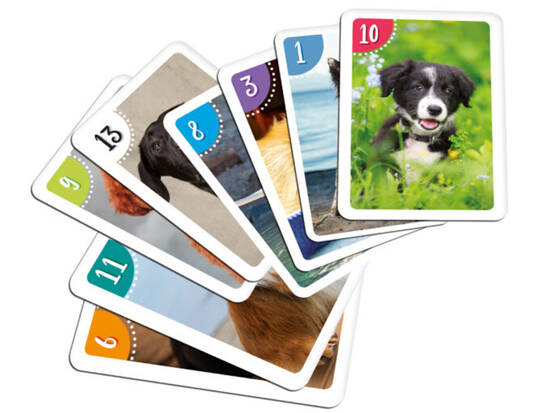 Cards card game PIOTRUŚ + MEMORY - DOGS 2783