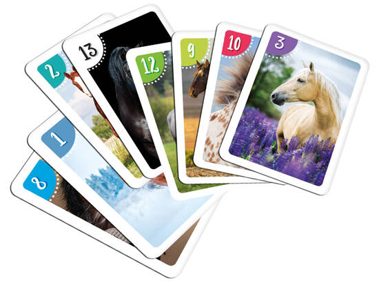 Cards card game PIOTRUŚ + MEMORY - HORSES 2779
