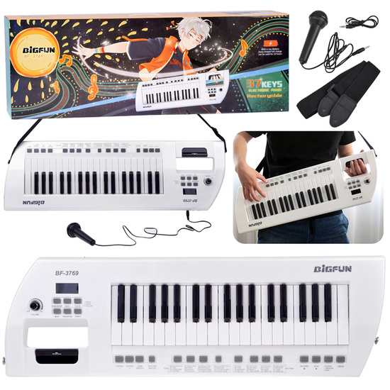 Electric piano plus microphone, toy instrument for children IN0173