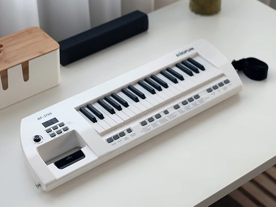 Electric piano plus microphone, toy instrument for children IN0173