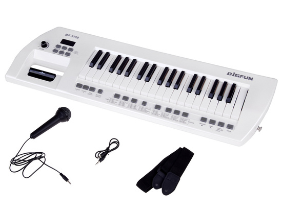 Electric piano plus microphone, toy instrument for children IN0173