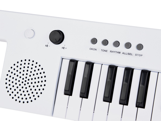 Electronic organ with handle, musical toy for children IN0172