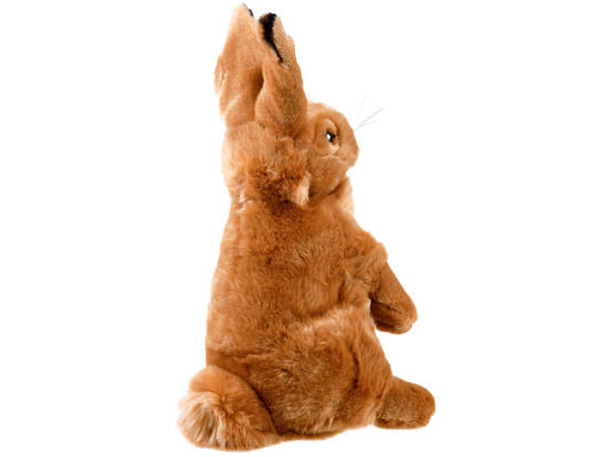 Hare mascot sitting rabbit 25cm 13463