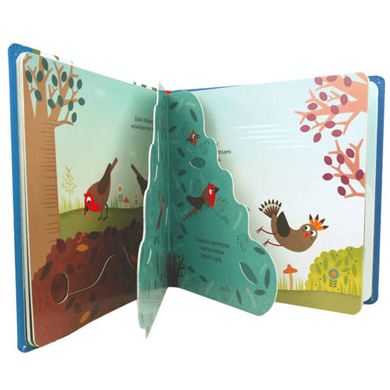 Hello Bird, a lovely book for a child KS0447