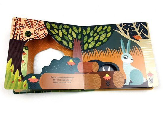 Hello Easter Bunny. Book for children KS0331