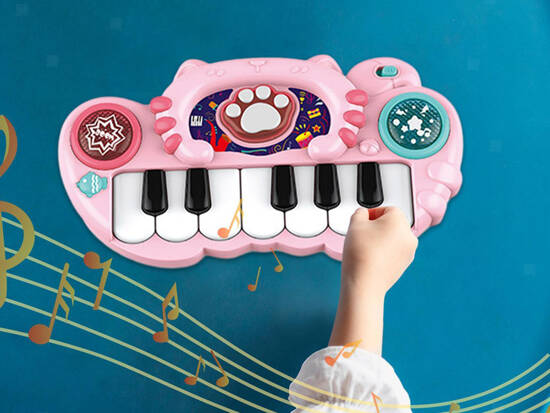 Interactive Organ Colorful Musical Toy for Children IN0177