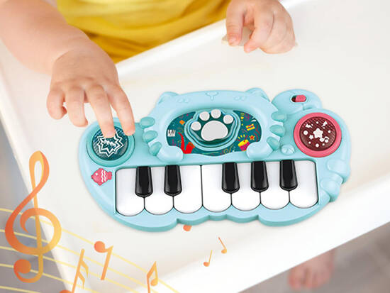 Interactive Organ Colorful Musical Toy for Children IN0177