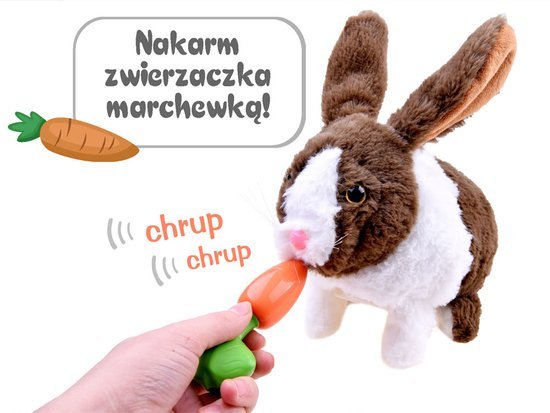 Interactive pet Rabbit guinea pig ZA2685