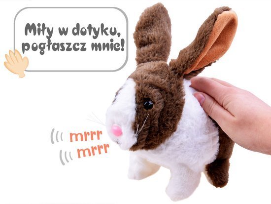 Interactive pet Rabbit guinea pig ZA2685