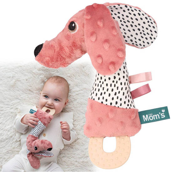 Jamiś squeaks with a teether rustling Moms ZA4497