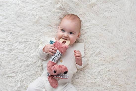 Jamiś squeaks with a teether rustling Moms ZA4497