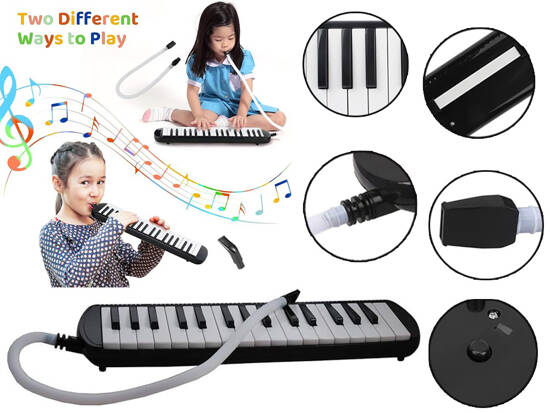 Musical instrument Melody Keyboard harmonica case two mouthpieces IN0175