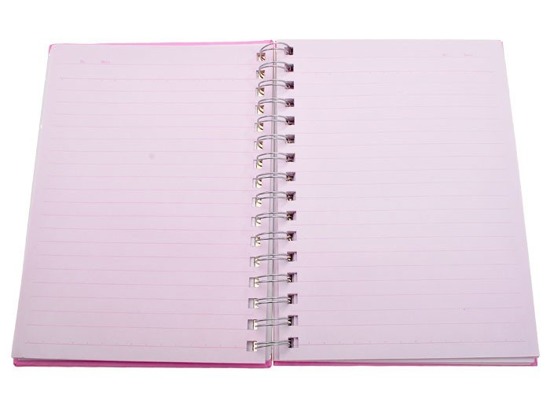 NOTES secret diary pen SEKRETNIK ZA1864