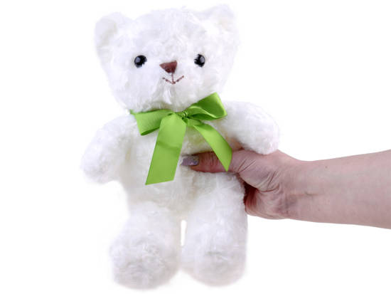 Plush White Teddy Bear Soft Toy 30cm ZA4455