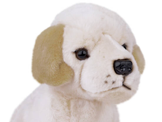 Plush toy mascot cuddly toy Labrador Dog sitting 20cm 13475