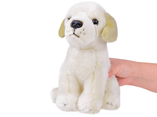 Plush toy mascot cuddly toy Labrador Dog sitting 20cm 13475