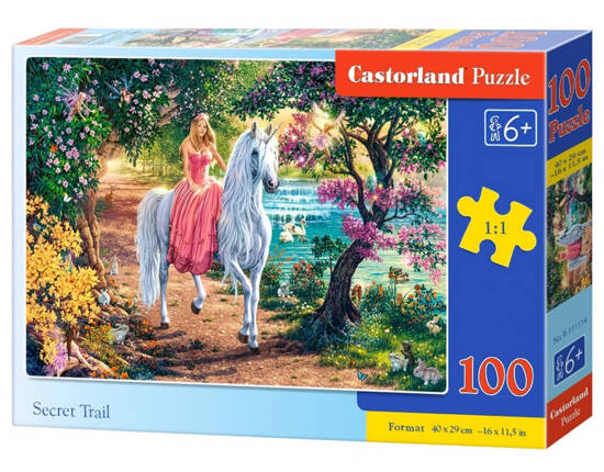 Puzzle 100 Secret Trail