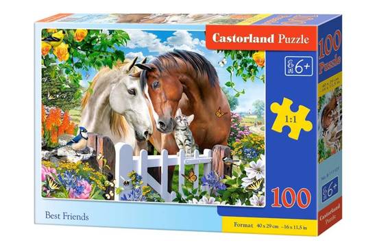 Puzzle 100 pieces Best Friends