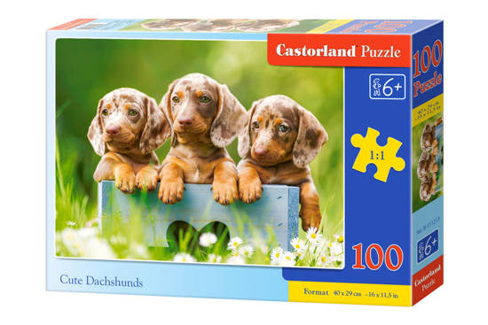 Puzzle 100 pieces Cute Dachshunds