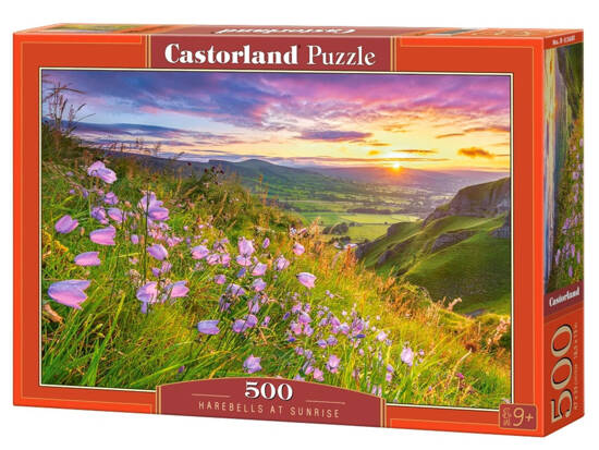 Puzzle 500 pieces B-53681 Harebells at Sunrise landscape