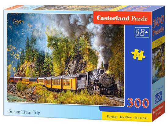 Puzzle Map of Germany 120 pieces + quiz CA0037