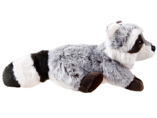 Raccoon mascot 26cm small ZOO 13431