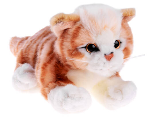 Red cat mascot, lying kitten, 30 cm, plush toy 13736