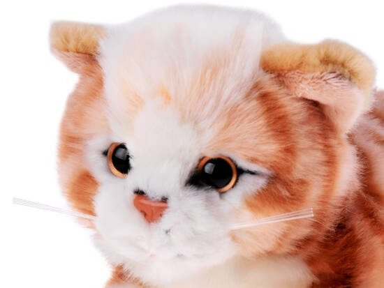 Red cat mascot, lying kitten, 30 cm, plush toy 13736