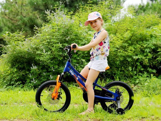 Royal Baby Children's Bicycle Explorer 16 "CM 16-3