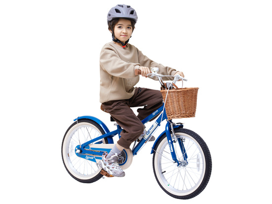 RoyalBaby Lovely City Bicycle with basket for Children Eurocle 18" RB18B-38