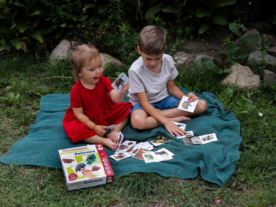 Sensory cards. Animals 2+ Montessori educational ega KS1019