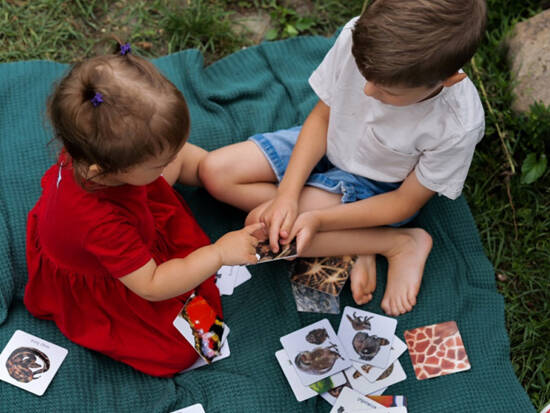 Sensory cards. Animals 2+ Montessori educational ega KS1019