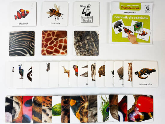 Sensory cards. Animals 2+ Montessori educational ega KS1019